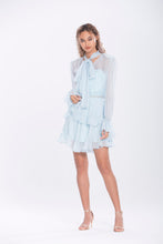 Load image into Gallery viewer, Damaris Silk Chiffon Mini Dress