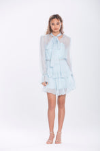 Load image into Gallery viewer, Damaris Silk Chiffon Mini Dress
